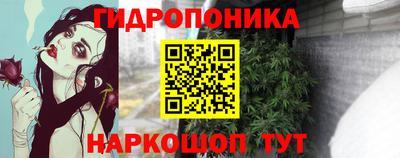 PSILOCYBIN Балахна