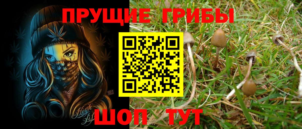 Галлюциногенные грибы мицелий  Вход с VPN  Дмитров 