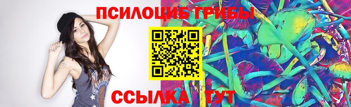 Галлюциногенные грибы мухоморы Дмитров
